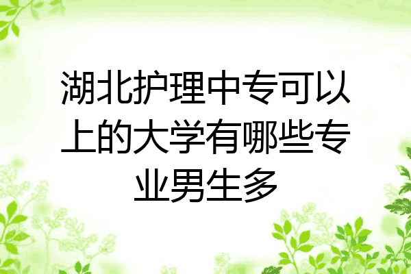 湖北护理中专可以上的大学有哪些专业男生多