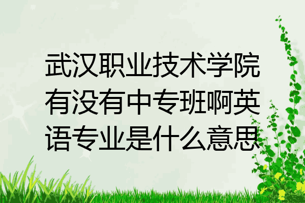 武汉职业技术学院有没有中专班啊英语专业是什么意思