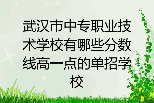 武汉市中专职业技术学校有哪些分数线高一点的单招学校