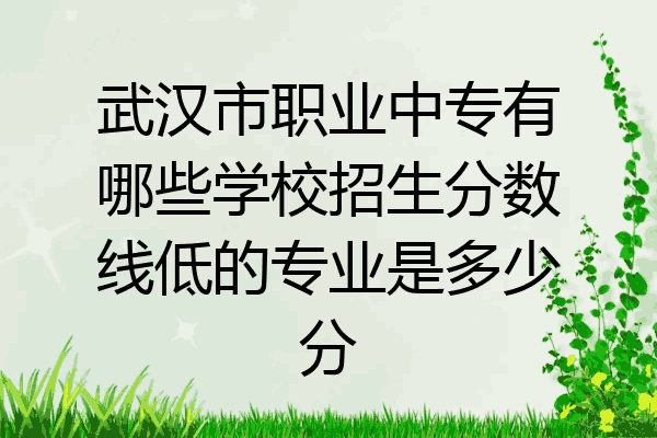 武汉市职业中专有哪些学校招生分数线低的专业是多少分