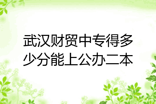 武汉财贸中专得多少分能上公办二本