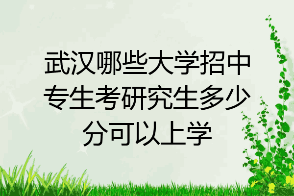 武汉哪些大学招中专生考研究生多少分可以上学
