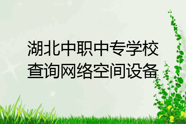 湖北中职中专学校查询网络空间设备