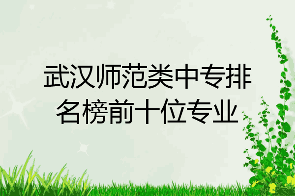 武汉师范类中专排名榜前十位专业