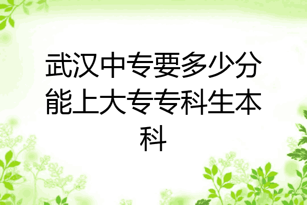 武汉中专要多少分能上大专专科生本科