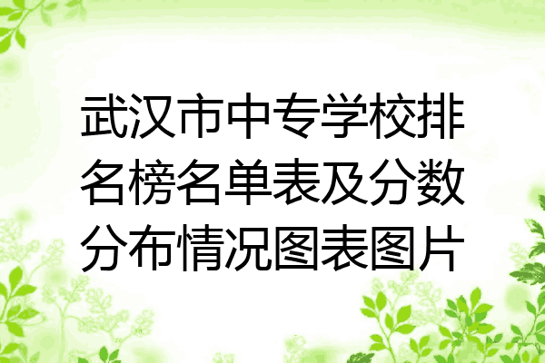 武汉市中专学校排名榜名单表及分数分布情况图表图片