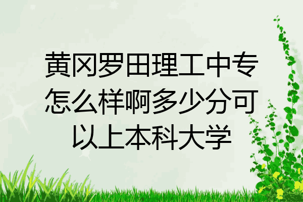 黄冈罗田理工中专怎么样啊多少分可以上本科大学