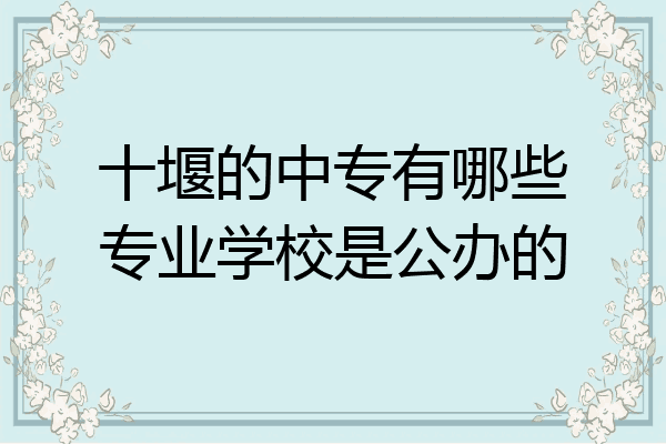 十堰的中专有哪些专业学校是公办的