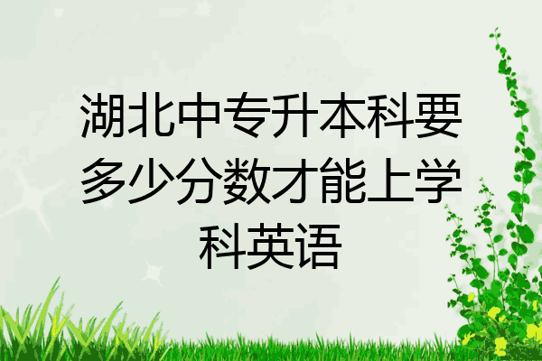 湖北中专升本科要多少分数才能上学科英语