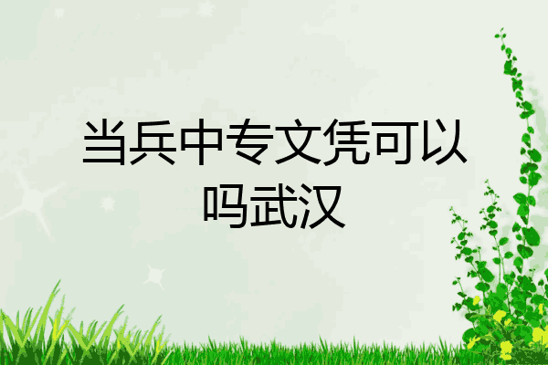 当兵中专文凭可以吗武汉