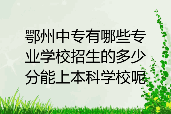 鄂州中专有哪些专业学校招生的多少分能上本科学校呢