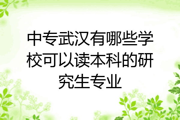 中专武汉有哪些学校可以读本科的研究生专业
