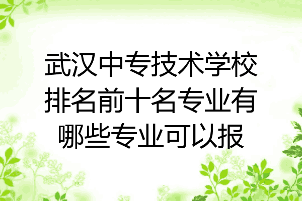 武汉中专技术学校排名前十名专业有哪些专业可以报