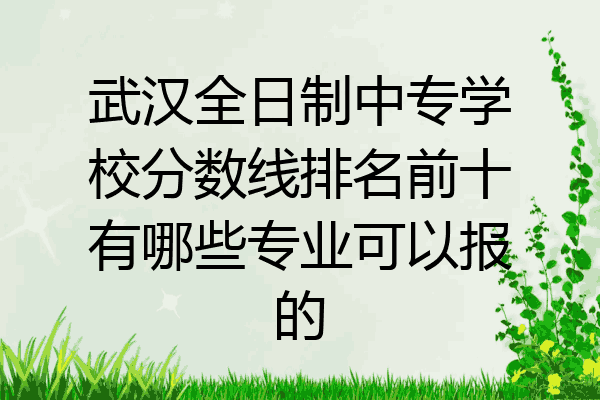 武汉全日制中专学校分数线排名前十有哪些专业可以报的