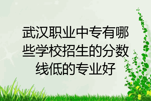 武汉职业中专有哪些学校招生的分数线低的专业好