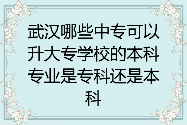武汉哪些中专可以升大专学校的本科专业是专科还是本科