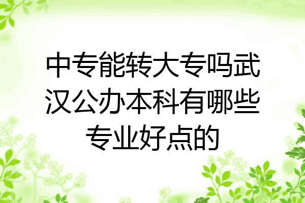 中专能转大专吗武汉公办本科有哪些专业好点的