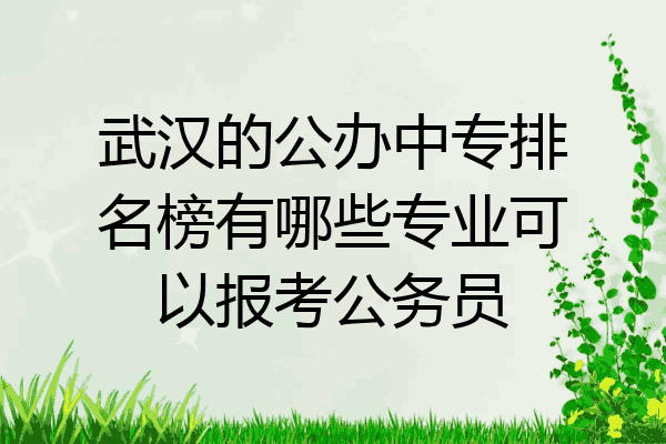 武汉的公办中专排名榜有哪些专业可以报考公务员