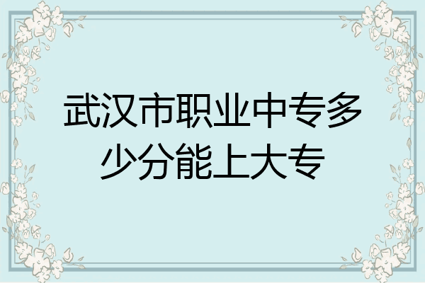 武汉市职业中专多少分能上大专
