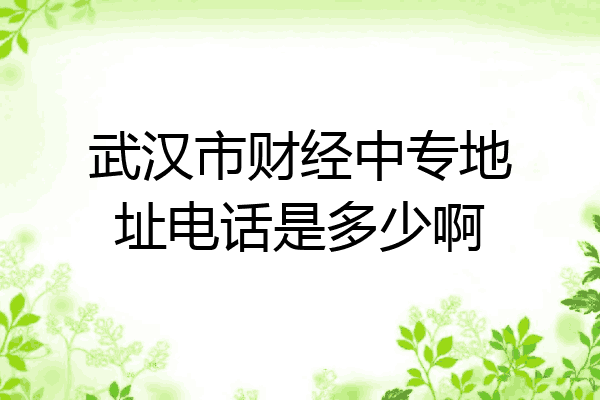武汉市财经中专地址电话是多少啊