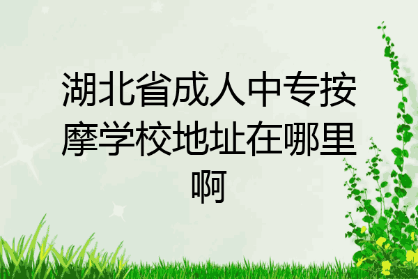 湖北省成人中专按摩学校地址在哪里啊