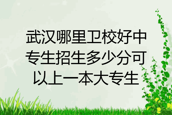武汉哪里卫校好中专生招生多少分可以上一本大专生
