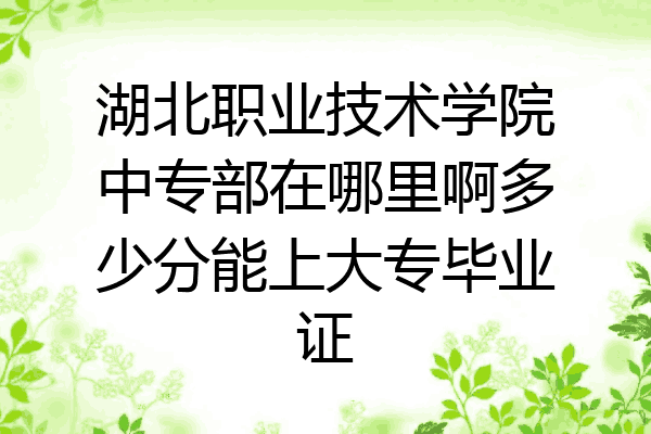 湖北职业技术学院中专部在哪里啊多少分能上大专毕业证