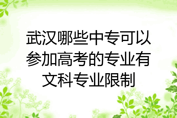武汉哪些中专可以参加高考的专业有文科专业限制