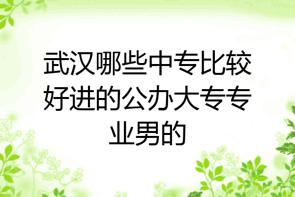 武汉哪些中专比较好进的公办大专专业男的