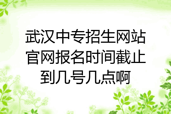 武汉中专招生网站官网报名时间截止到几号几点啊