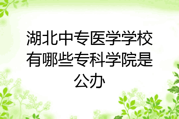 湖北中专医学学校有哪些专科学院是公办