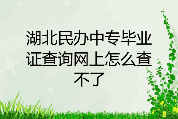 湖北民办中专毕业证查询网上怎么查不了