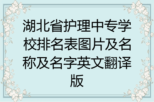 湖北省护理中专学校排名表图片及名称及名字英文翻译版