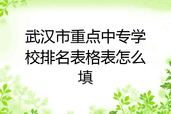 武汉市重点中专学校排名表格表怎么填