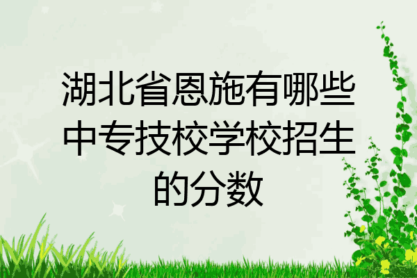 湖北省恩施有哪些中专技校学校招生的分数