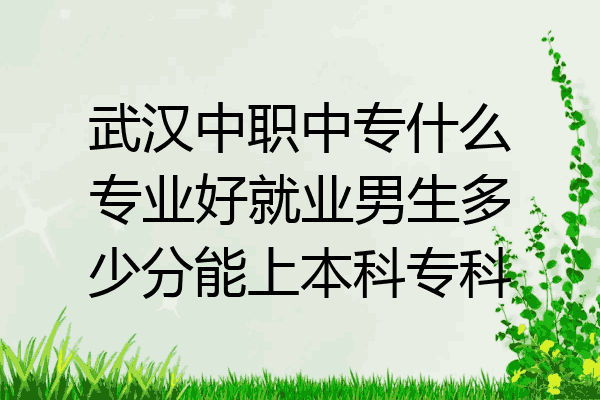 武汉中职中专什么专业好就业男生多少分能上本科专科