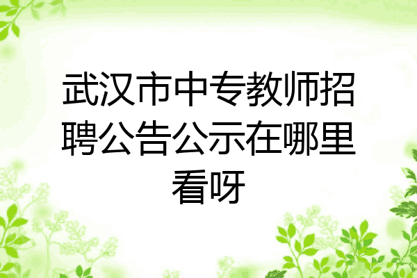 武汉市中专教师招聘公告公示在哪里看呀