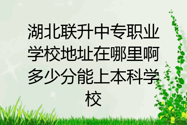 湖北联升中专职业学校地址在哪里啊多少分能上本科学校
