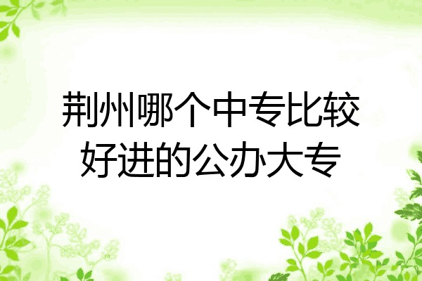 荆州哪个中专比较好进的公办大专