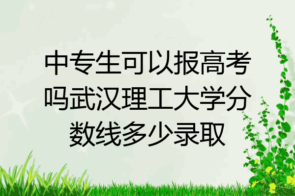 中专生可以报高考吗武汉理工大学分数线多少录取