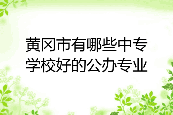黄冈市有哪些中专学校好的公办专业
