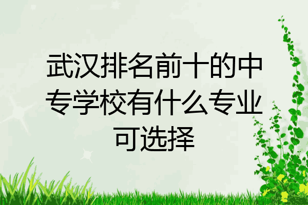 武汉排名前十的中专学校有什么专业可选择