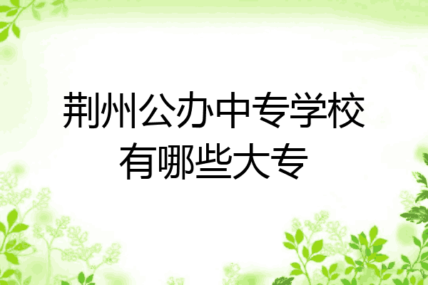 荆州公办中专学校有哪些大专