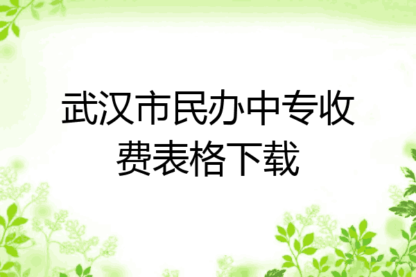 武汉市民办中专收费表格下载