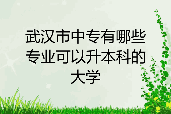 武汉市中专有哪些专业可以升本科的大学