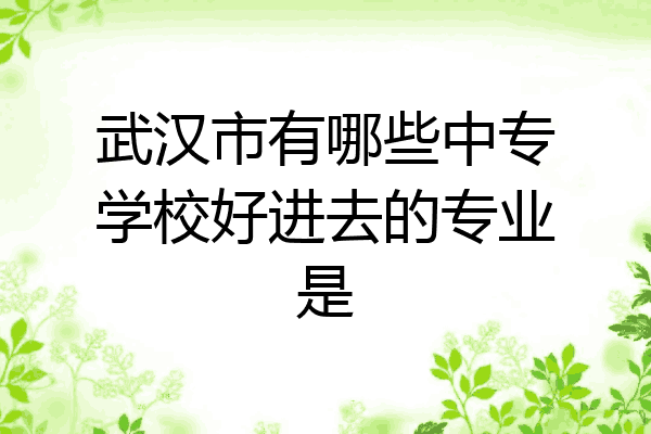 武汉市有哪些中专学校好进去的专业是
