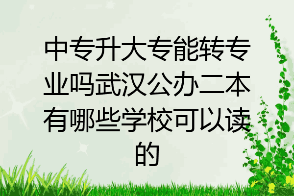 中专升大专能转专业吗武汉公办二本有哪些学校可以读的