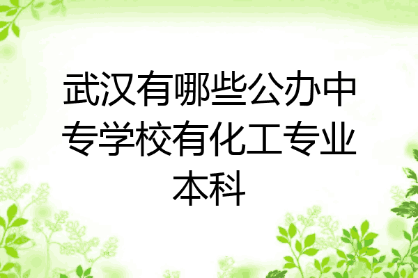 武汉有哪些公办中专学校有化工专业本科