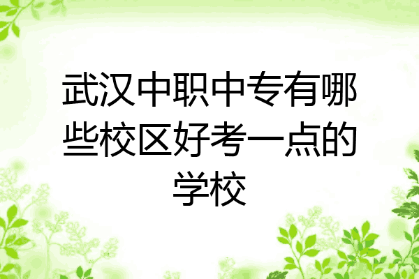 武汉中职中专有哪些校区好考一点的学校