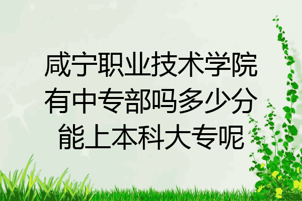 咸宁职业技术学院有中专部吗多少分能上本科大专呢